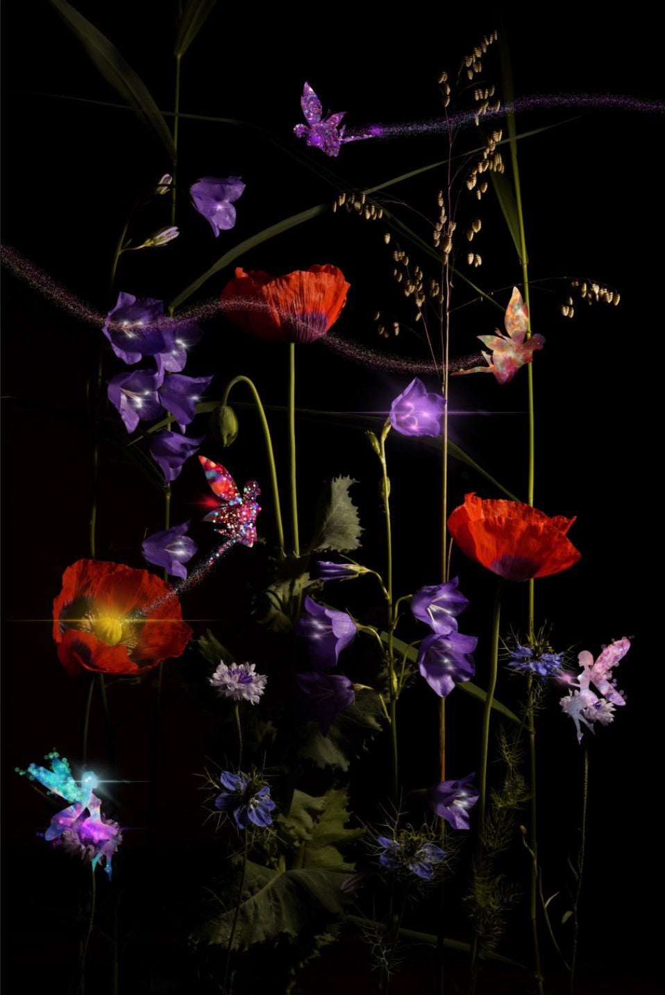 Fotografie 'Fairydust'