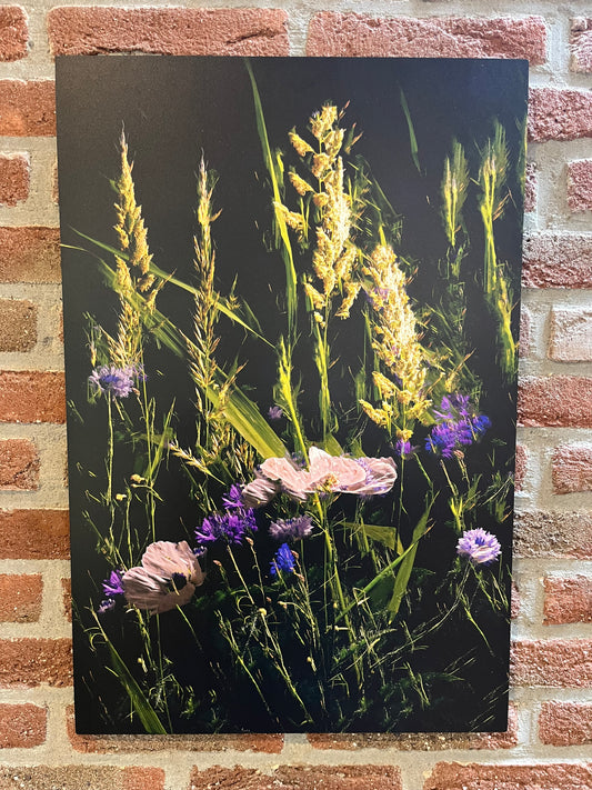 Stilleven 'Zomernacht'