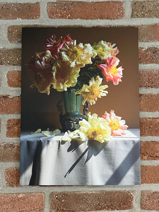 Stilleven 'Pioenroos'