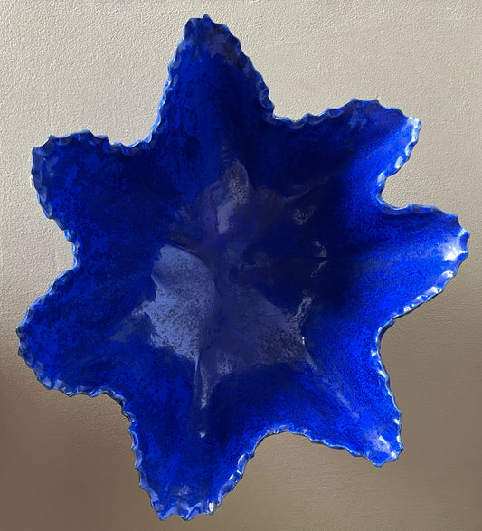 Schaal Blauw